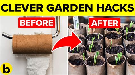 17 Clever Garden Hacks That You Should Know Gardening Chronicle