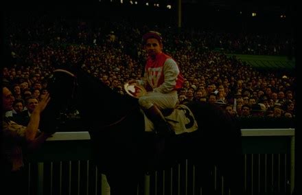 3 San juan capistrano handicap Stock Pictures, Editorial Images and ...