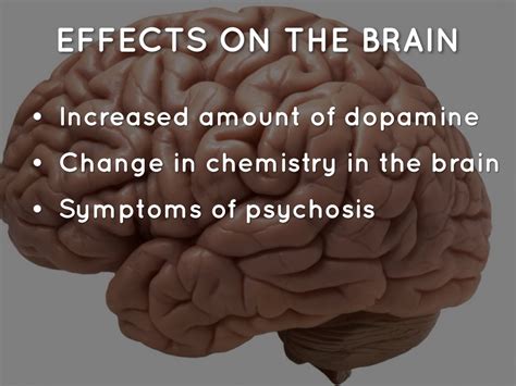 Crystal Meth Effects On Brain