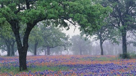 Texas Country Desktop Wallpapers Top Free Texas Country Desktop