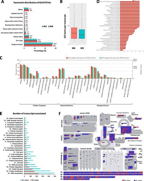 Functional Annotation Of Transcript Isoforms From The Two Datasets