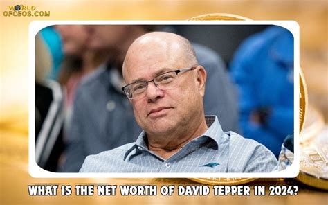 David Tepper Net Worth 2024: Investments, and Philanthropy Overview