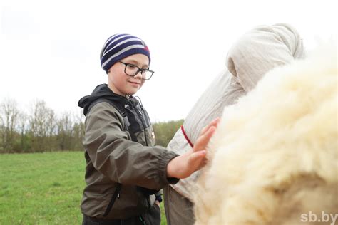 Фотофакт. Мастер-класс по стрижке овец