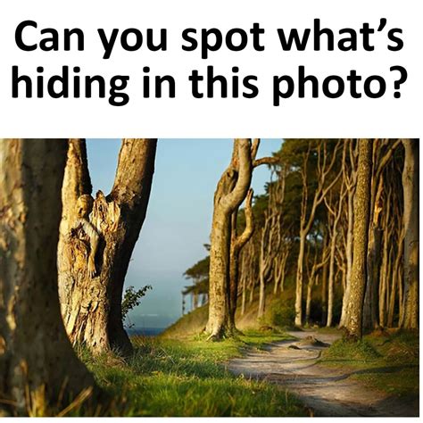 Can you spot what’s hiding in this photo? - en.viata.me