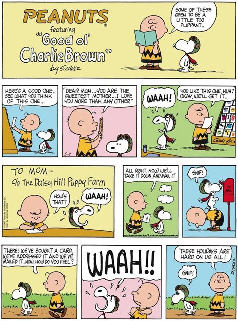 Charlie Brown Snoopy Comics Peanuts Comic Strip Snoopy Funny