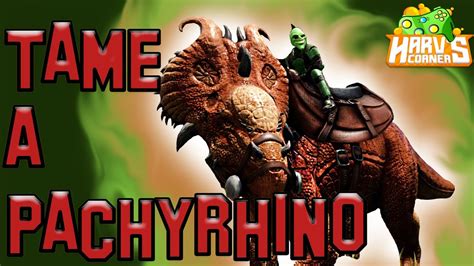 Ark How To Tame A Pachyrhinosaurus Ark Survival Evolved Youtube