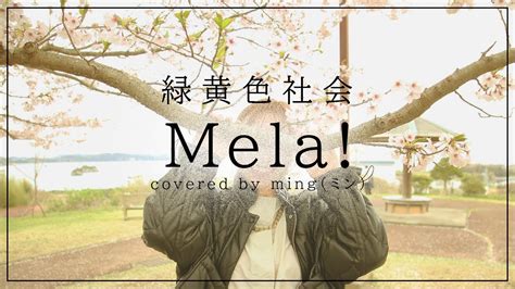 Mela 緑黄色社会 Covered By Ming（ミン）【 宮城県七ヶ浜町で 歌ってみた 】 Youtube