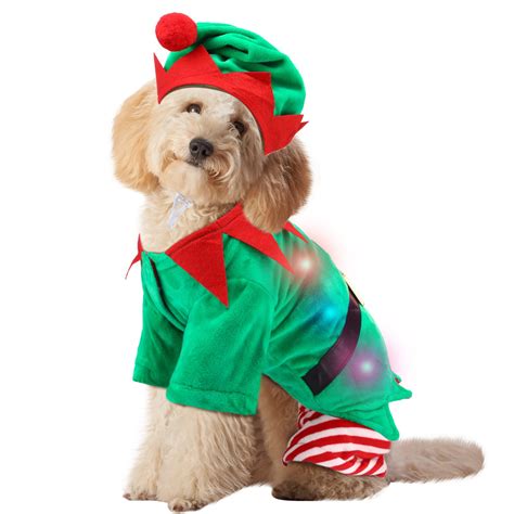 Arriba 69 Imagen Dog Elf Outfit Abzlocalmx