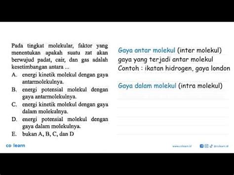 Pada Tingkat Molekular Faktor Yang Menentukan Apakah Suatu Zat Akan