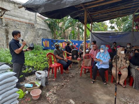 Penyuluhan Budidaya Tanaman Kangkung Dan Edukasi Pemasaran Online