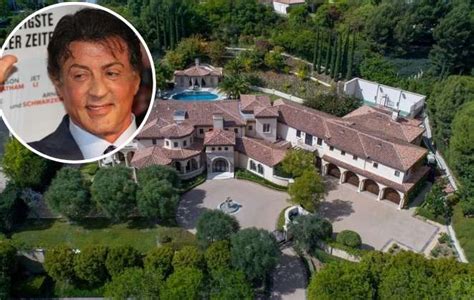 Um Passeio Pela Mans O Milion Ria De Sylvester Stallone Ofuxico