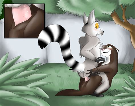 Rule 34 Furry Only King Julien Madagascar Marlene Penguins Of Madagascar Tagme 805379