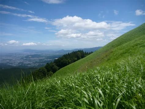 10 Best Trails and Hikes in Osaka | AllTrails