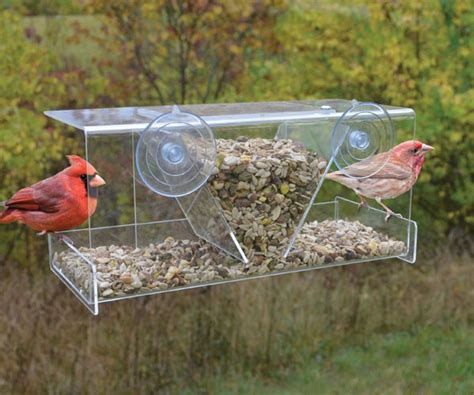 Songbird Essentials Clear View Deluxe Hopper Window Bird Feeder