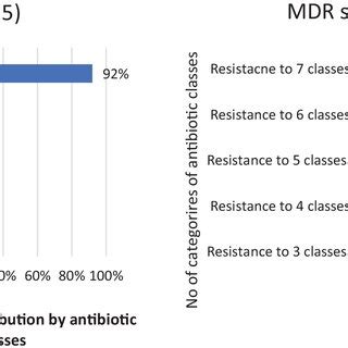 The Distribution Of Resistance Patterns Of P Lactis Strains