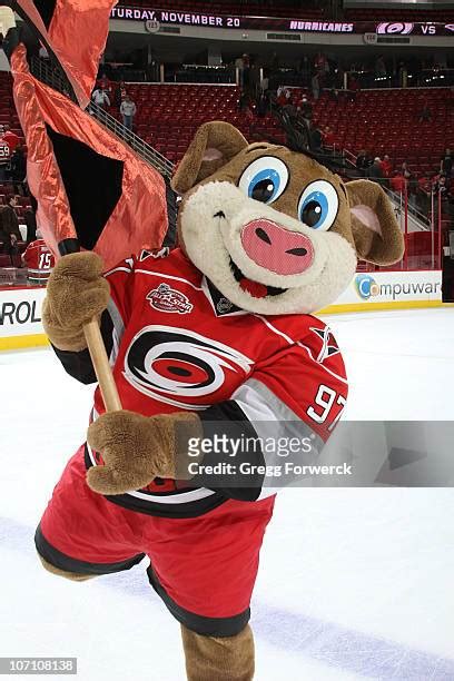 Stormy The Ice Hog Photos and Premium High Res Pictures - Getty Images