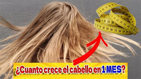 Cuanto CRECE El CABELLO Por Mes TRATAMIENTO Y BENEFICIOS De La SABILA