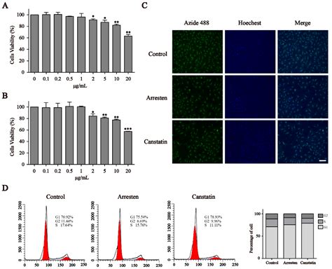 Ijms Free Full Text Recombinant Human Arresten And Canstatin