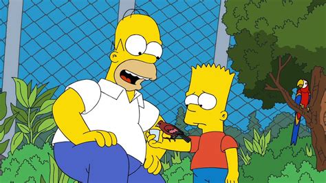 El Pajarito De Bart LOS SIMPSON CAPITULOS COMPLETOS YouTube