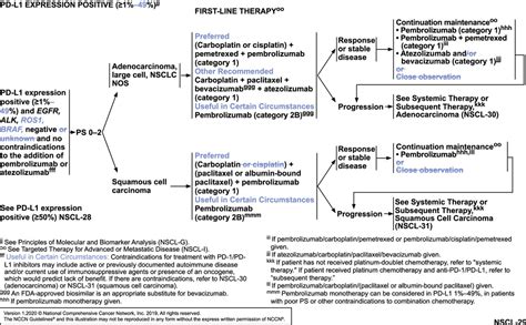 Nccn Guidelines Insights Nonsmall Cell Lung Cancer Version 12020 In