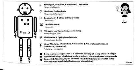 chemotherapy toxicities summary chemoman flashcards quizlet