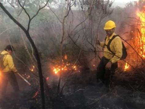 Sofocan Incendio En Cerro De San Juan Meganoticias