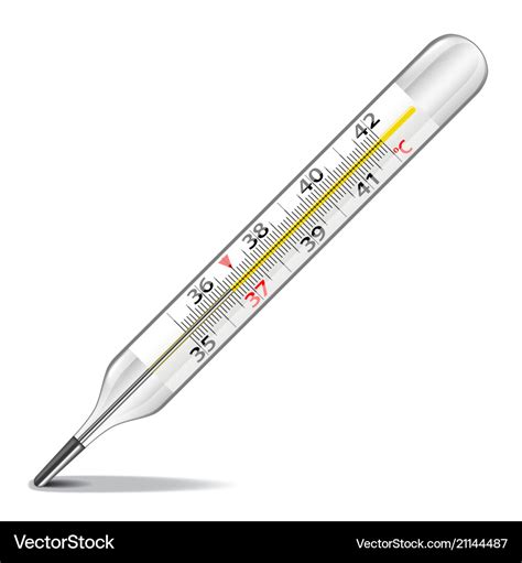 Mercury Thermometer Isolated On White Royalty Free Vector