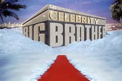 Who Left Big Brother Last Night