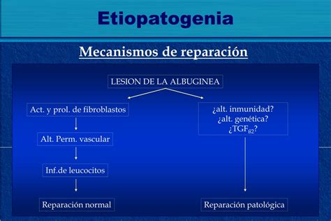 Ppt Revisión Bibliográfica Dr Fernando Osorio Prof Dr Luis García