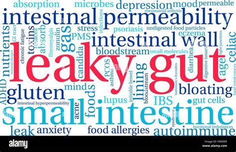 Leaky Gut Word Cloud On A White Background Stock Vector Image And Art Alamy