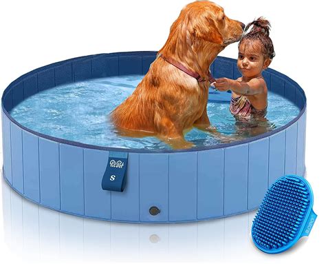 12 Best Dog Swimming Pools of 2024