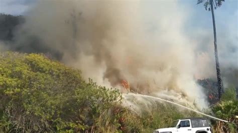 Residents Evacuate During Three Alarm Park Fire In Carlsbad California