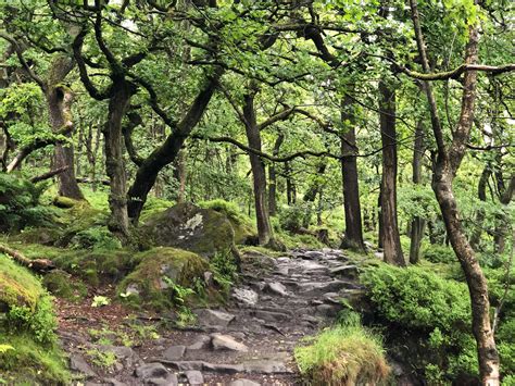 Padley Gorge And Surprise View 45 Miles Lets Go Peak District