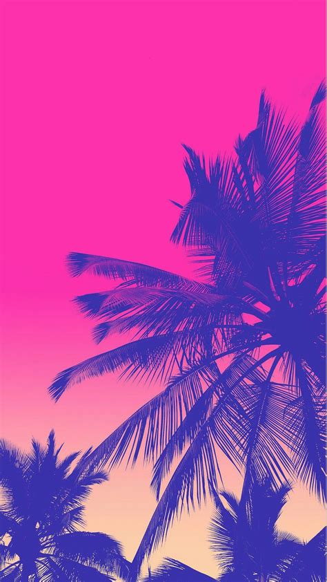 Palm Tree Silhouette Wallpaper