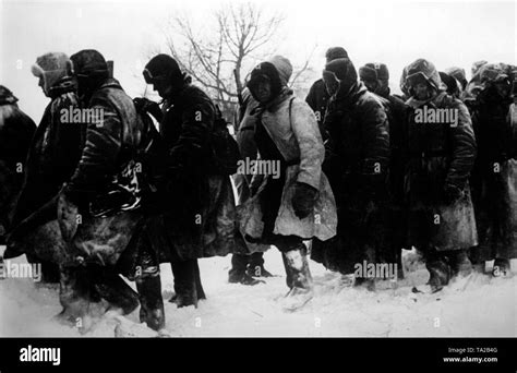 Wehrmacht mütze Fotos und Bildmaterial in hoher Auflösung Alamy