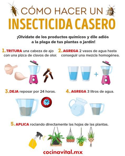 Insecticidas Caseros Para Eliminar La Plaga De Tus Plantas Cocina Vital Cuidado De Plantas