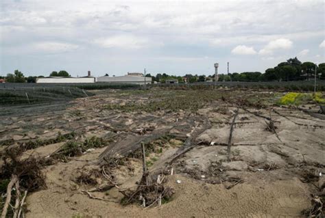 Coldiretti 6 Miliardi Di Danni Del Clima All Agricoltura Tiscali Notizie