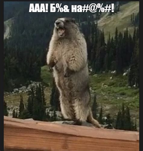 Мем: "ААА! Б%& на#@%#!" - Все шаблоны - Meme-arsenal.com