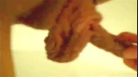 Cunt Lips Porn Videos