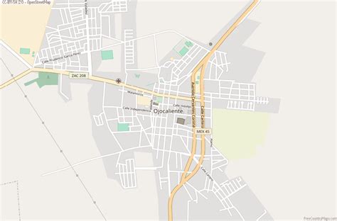 ojocaliente mexico map latitude longitude   ojocaliente