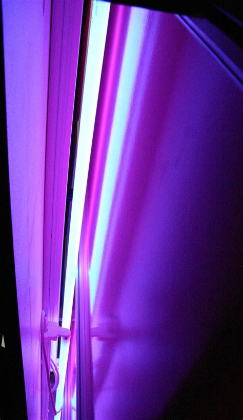 neon light 3 Free Photo Download | FreeImages