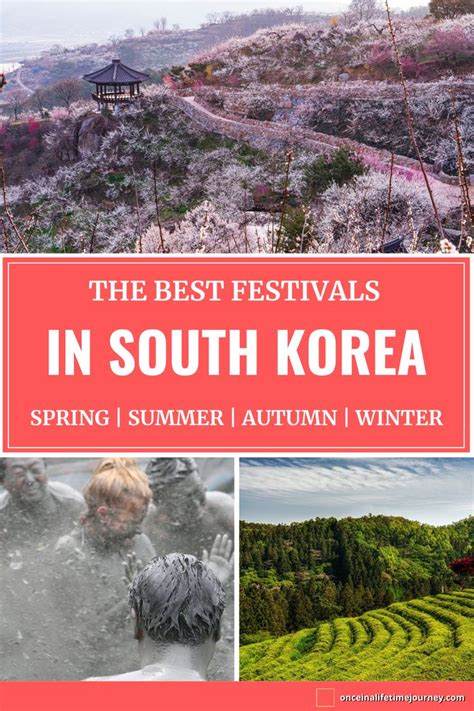 Amazing South Korean festivals you cannot miss | Seoul travel, Asia ...