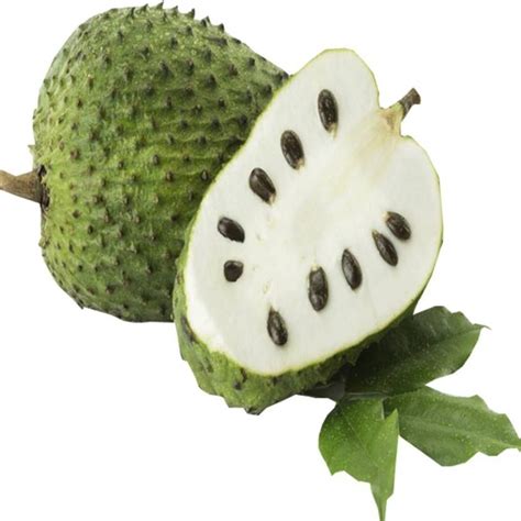 Ramphal Soursop Fruit Packaging Type Carton Packaging Size 2 Kg At