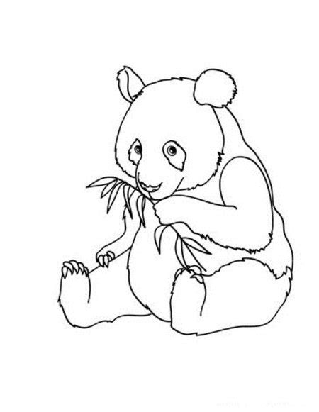 Cute Baby Panda Coloring Pages for Kids >> Disney Coloring Pages