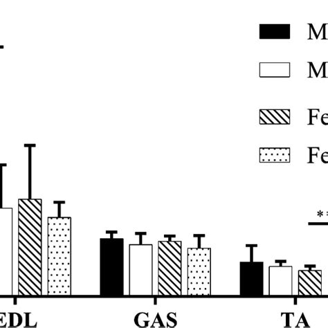 Protein Concentration Of Hindlimb Skeletal Muscles Edl Gas And Ta