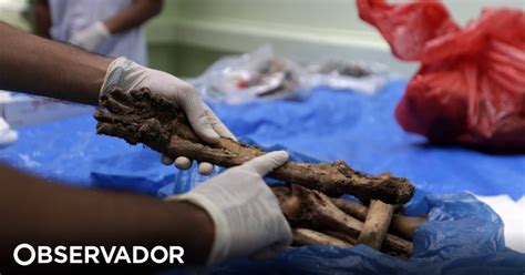 Brasil Lan A Campanha Para Identificar Restos Mortais De Mais De Mil