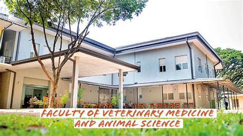 Faculty Of Veterinary Medicine And Animal Science University Of