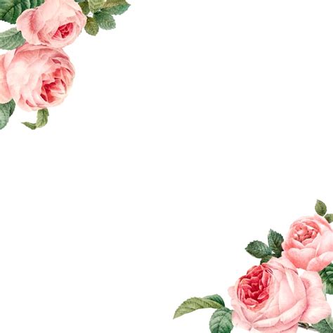 Pink Rose Border Clip Art Free