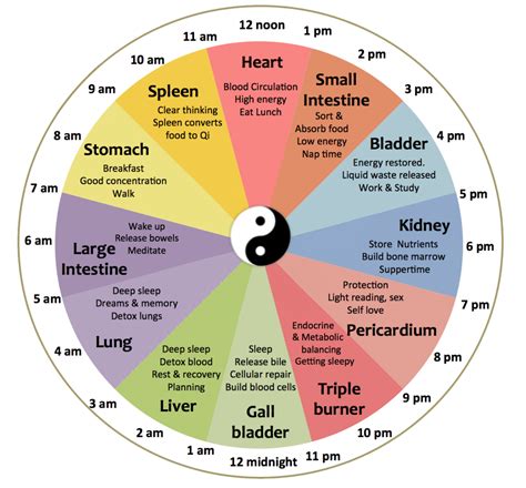 The Spooky2 Meridian Clock Preset - Spooky2