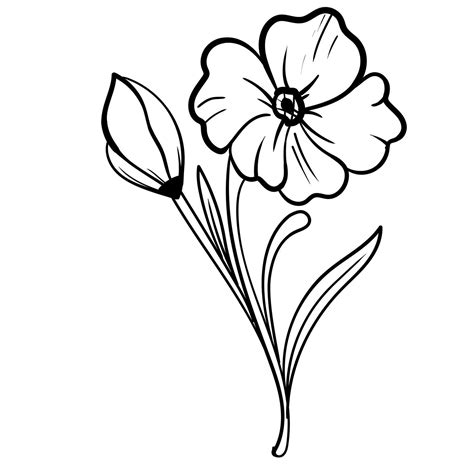 Outline Hand Drawn Decorative Floral Branch And Minimalist Leaves For